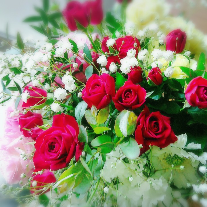 rose