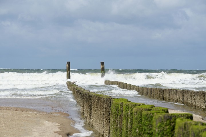sea