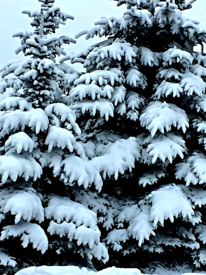 Winter day
