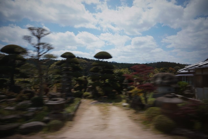 飄移蘑菇