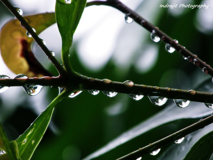 Droplets