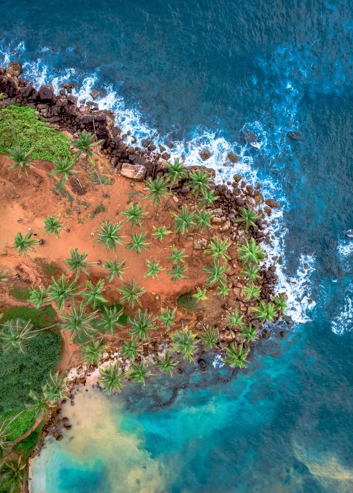Coconut Tree Hills