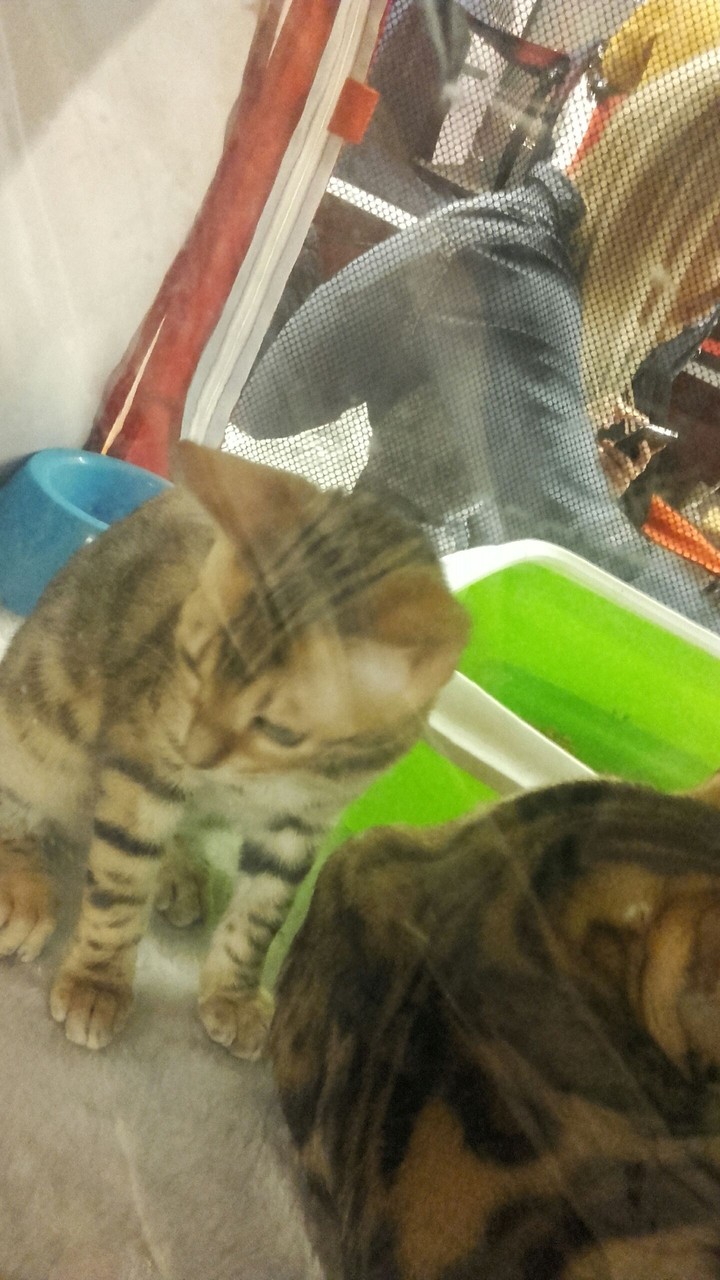 Food?