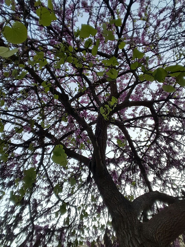 colourful