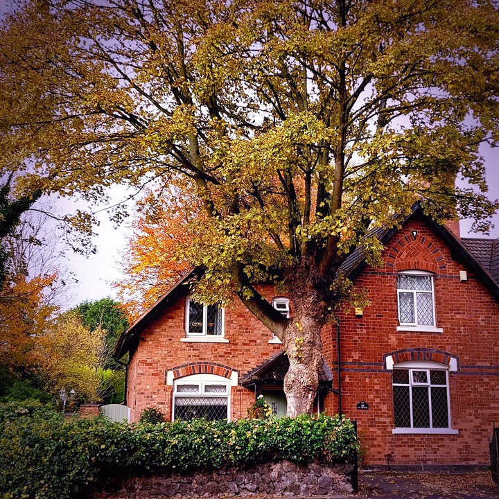 autumn life