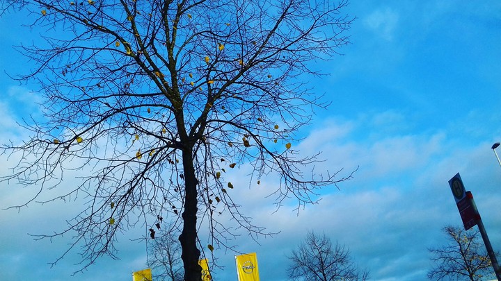 Sky in the autumn