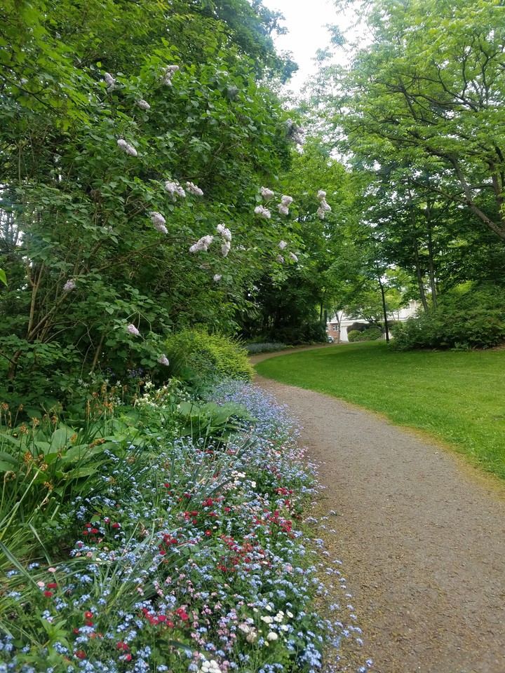 trail