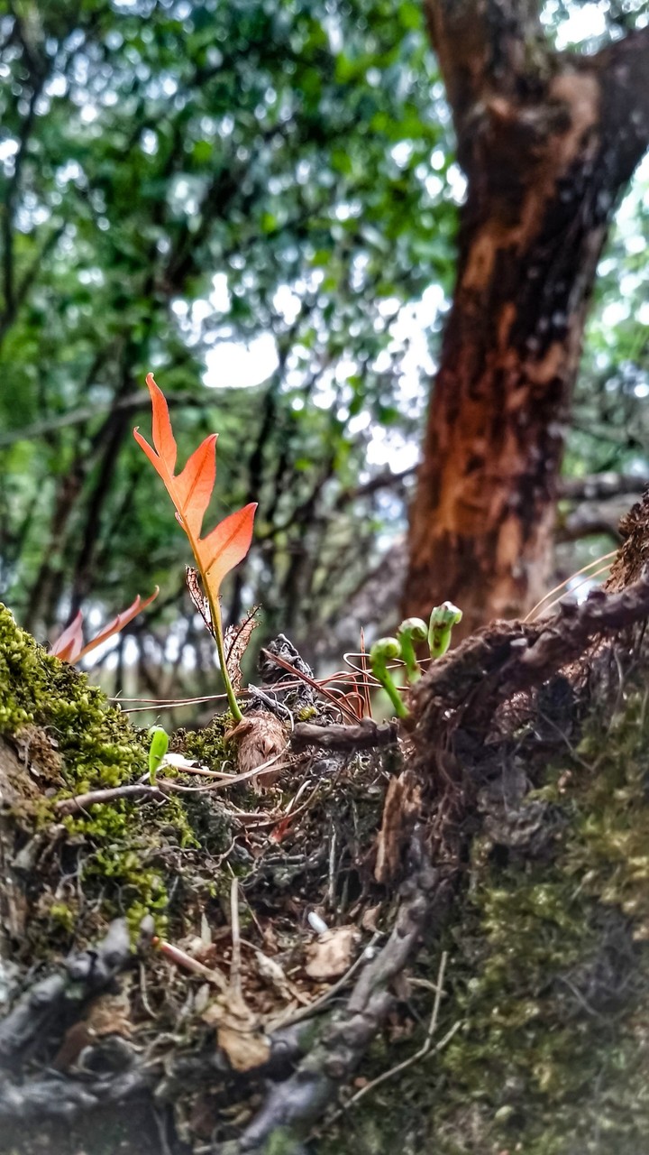 Find beauty in small things..
