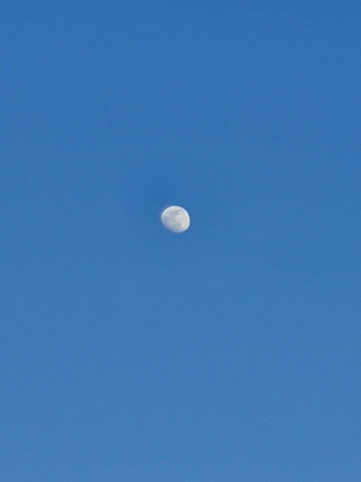 moon