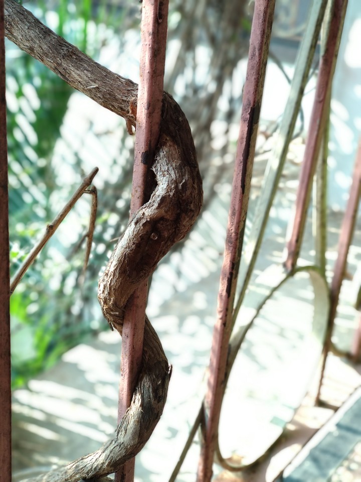 Climber