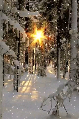 ❤️❤️❤️