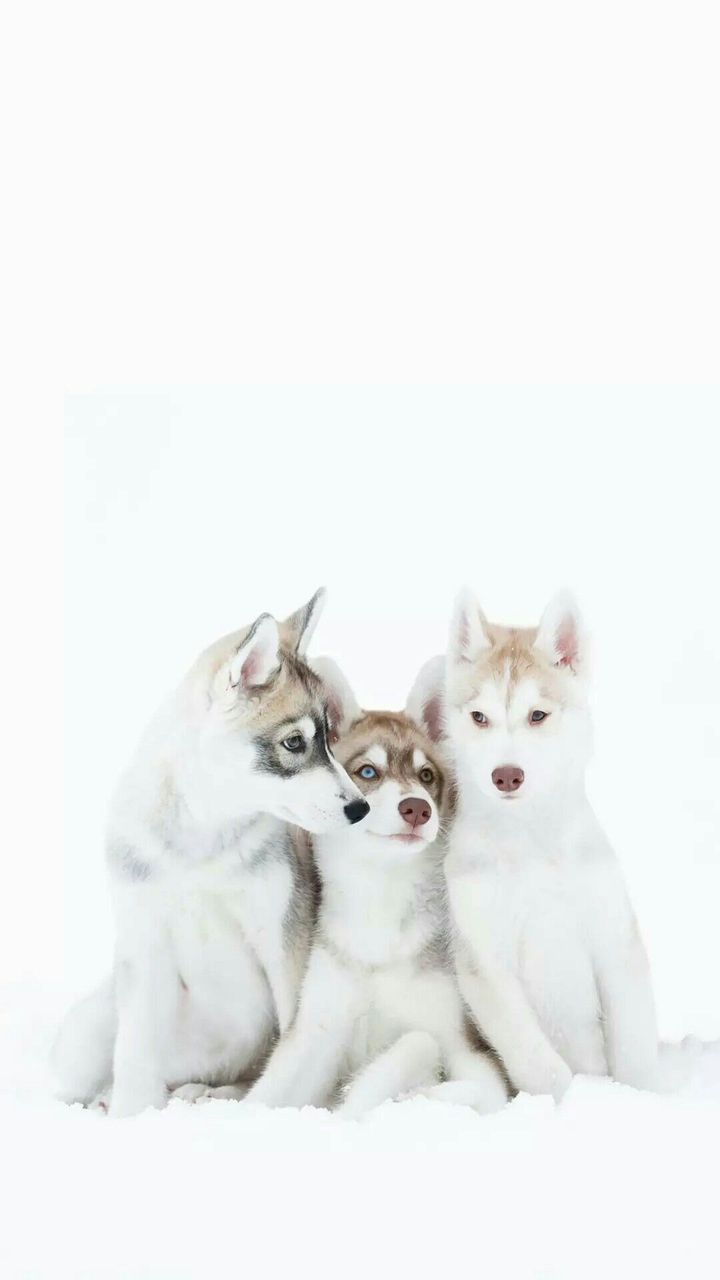 unity