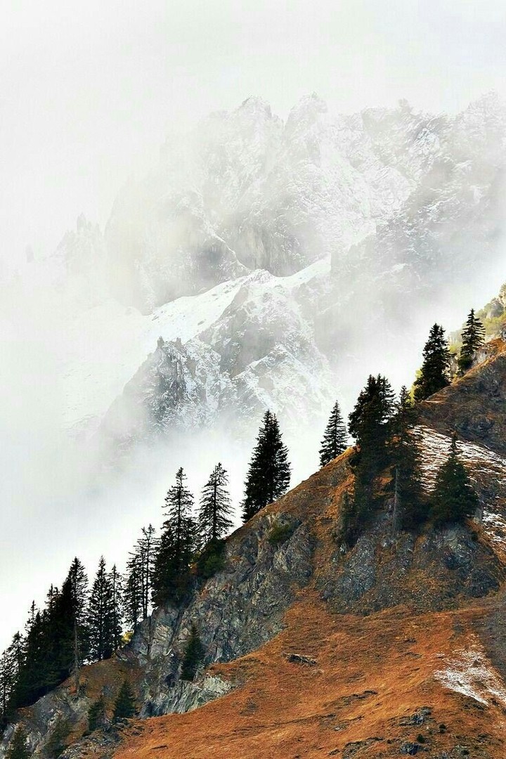 mountains