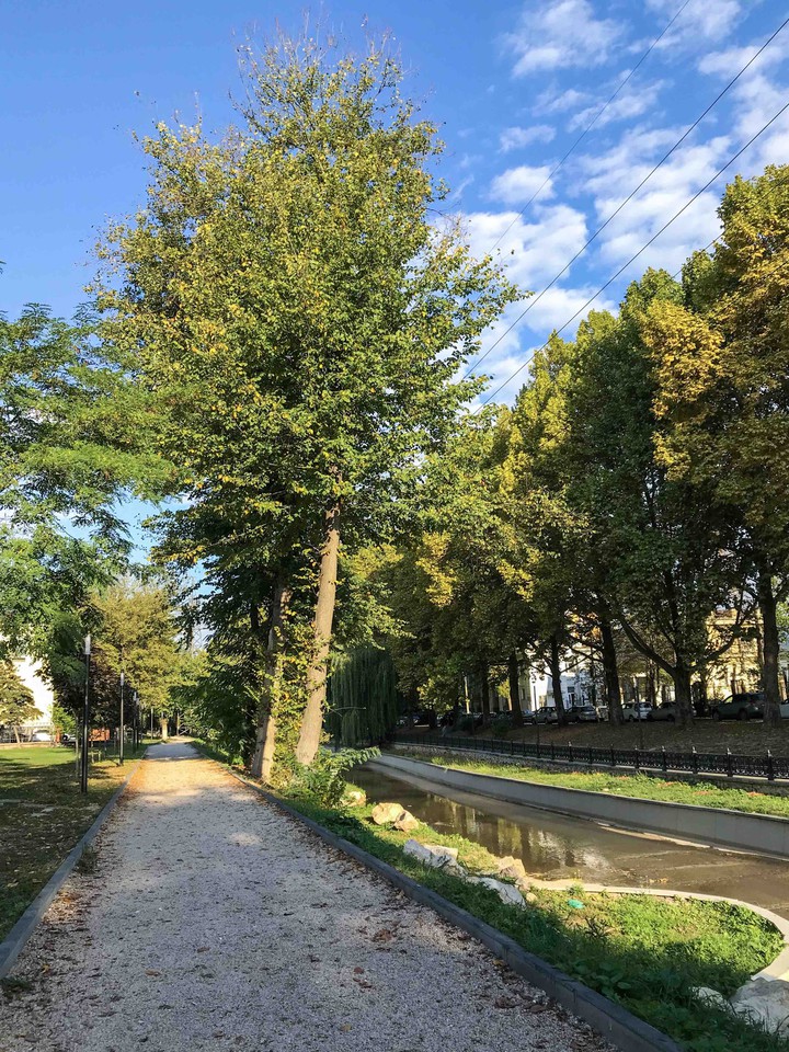 park