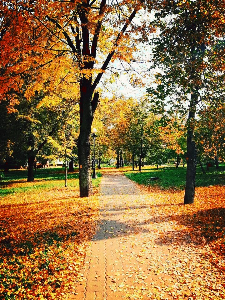 Autumn