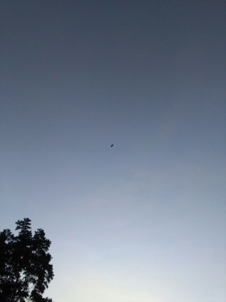 sky