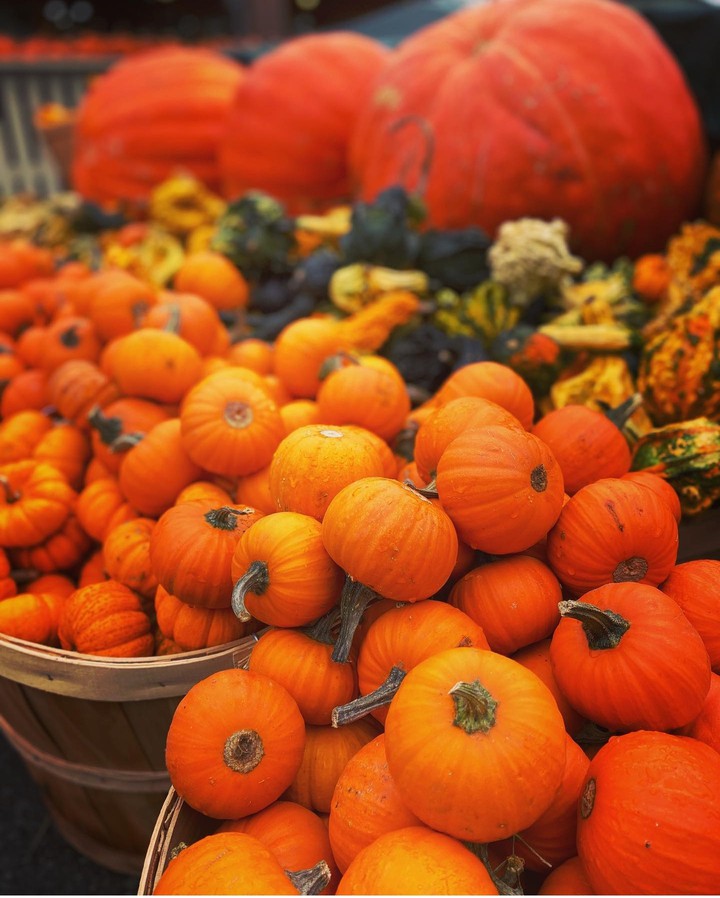 pumpkin