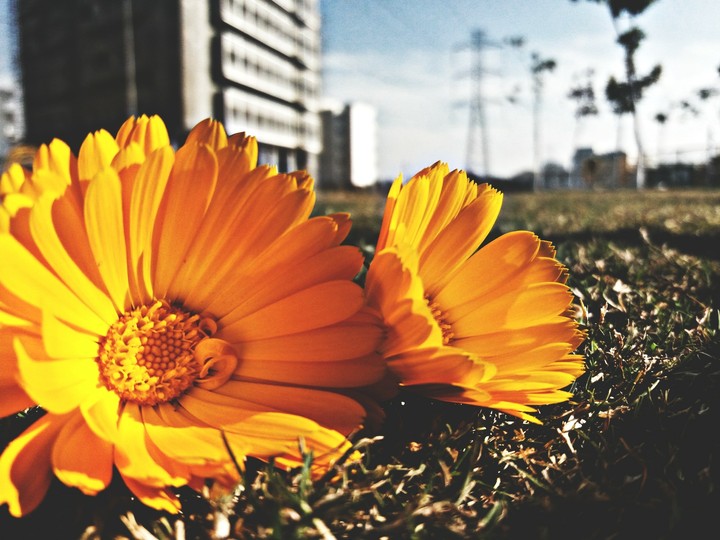 i feel special after clicking this pic bcoz its means a lot