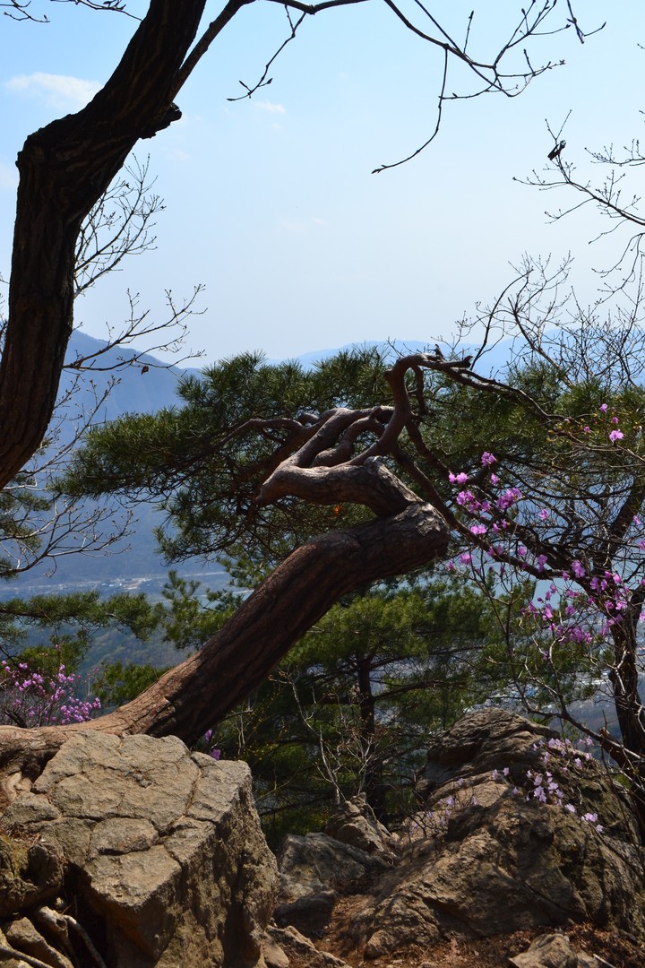 예봉산이미지