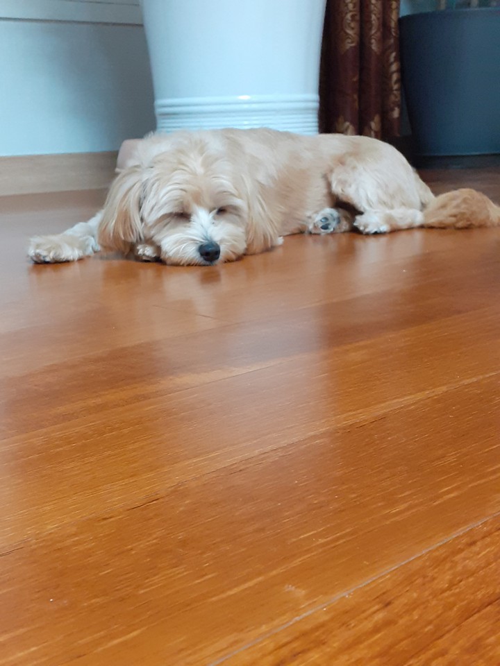 ㅌ