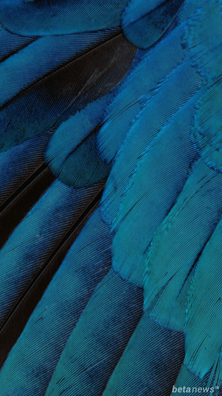 IOS 9 Stock Wallpapers 9