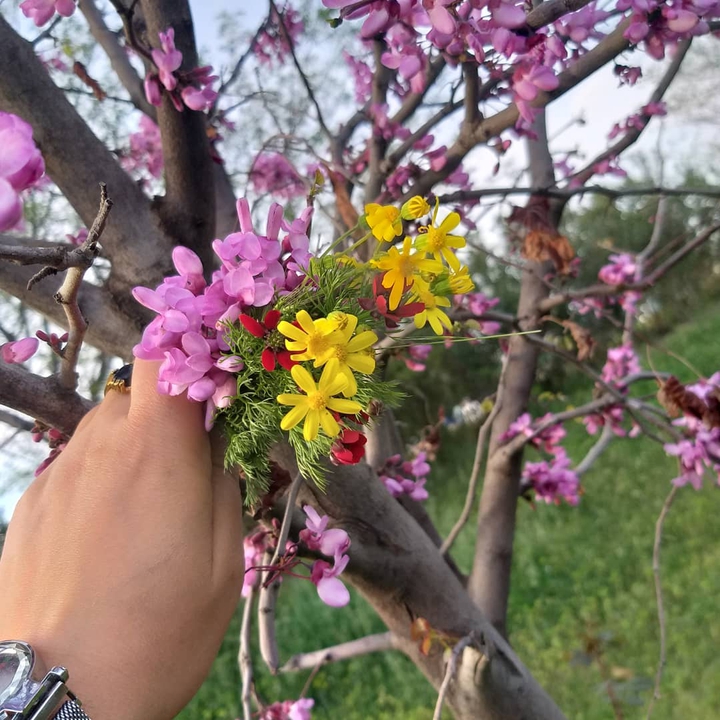 my flower