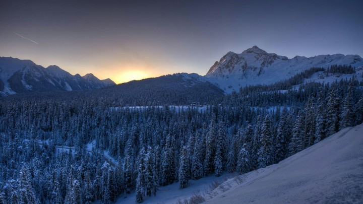 Winter landscape