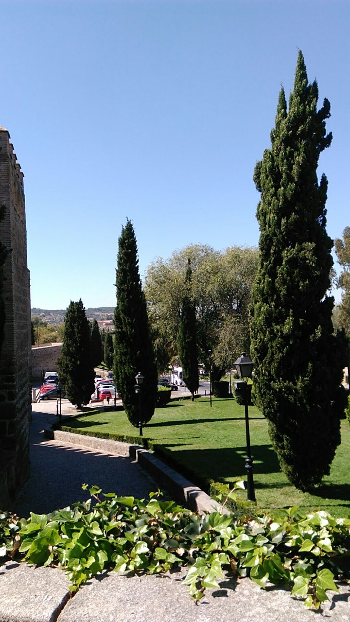 Toledo