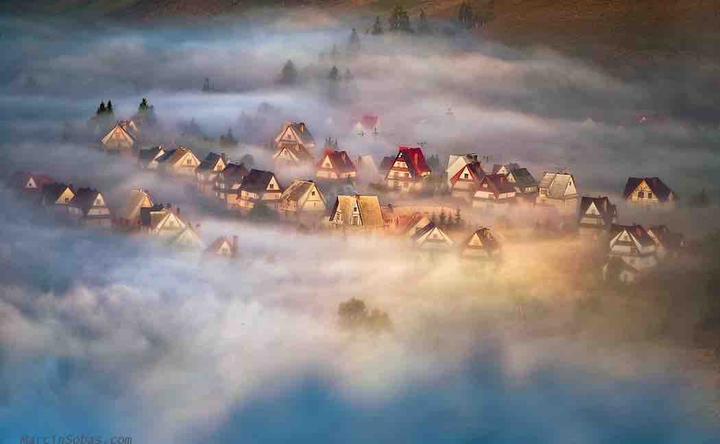 lost in the mists
