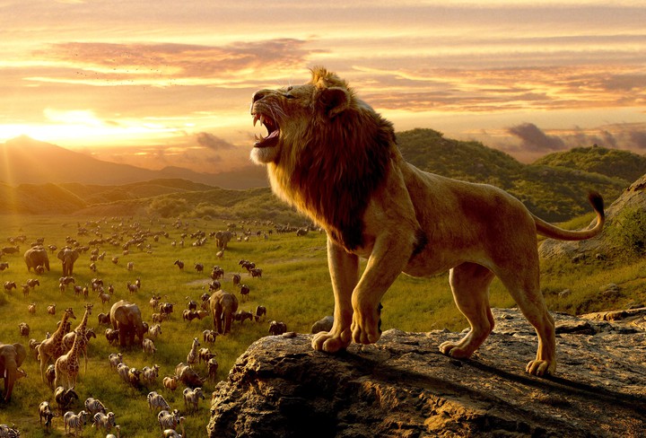 Lion ?