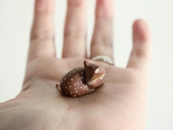 cute