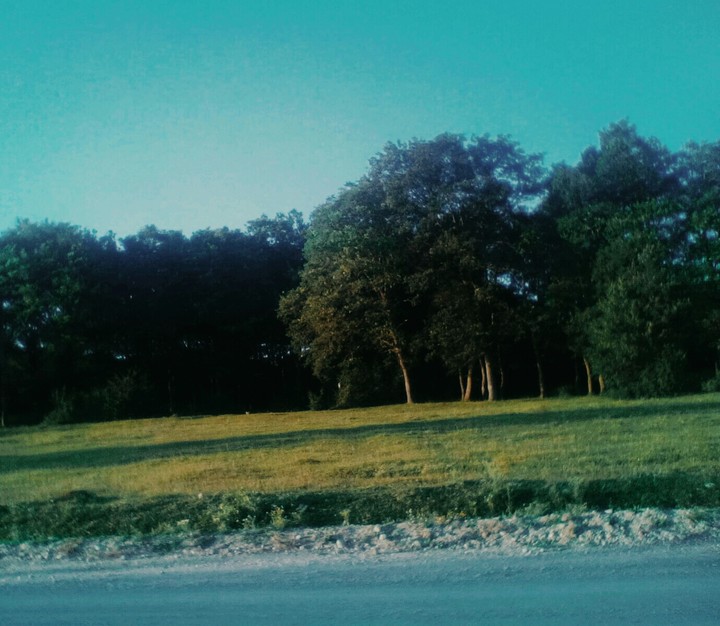 yeşil
