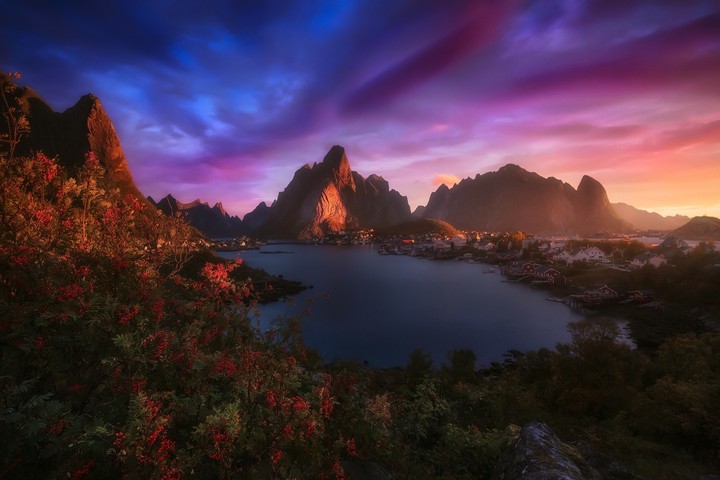 Colors of Nature