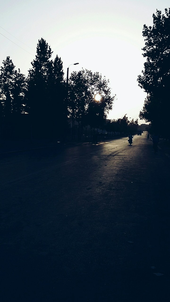 morning