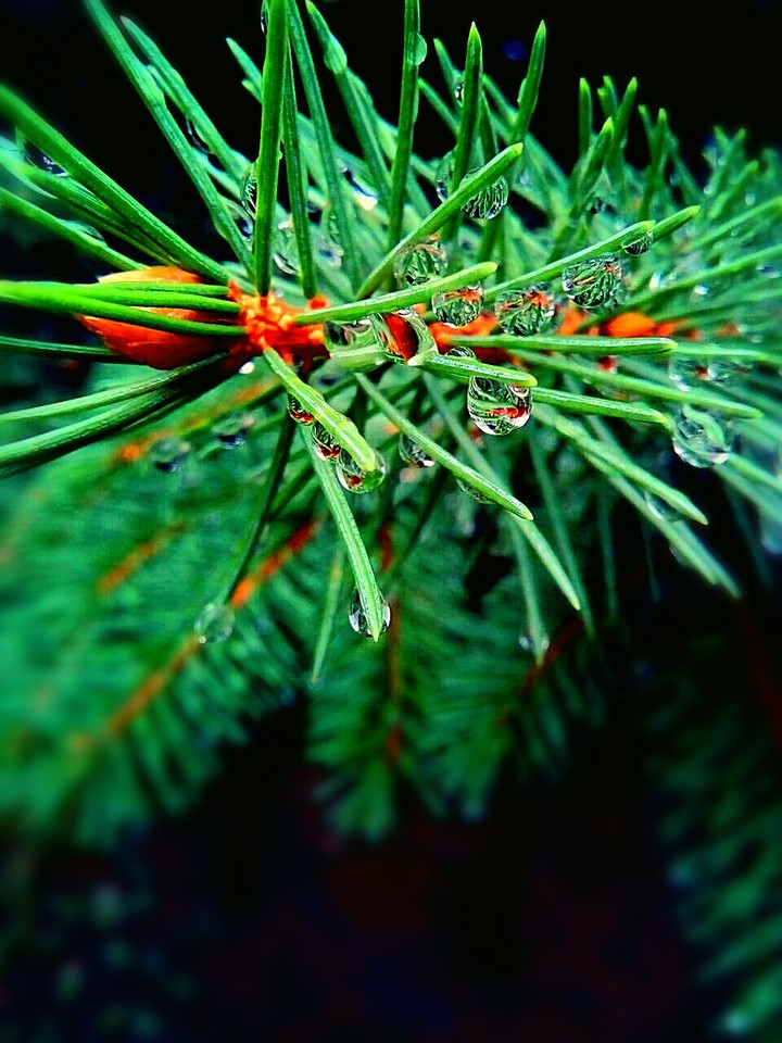 Spiky