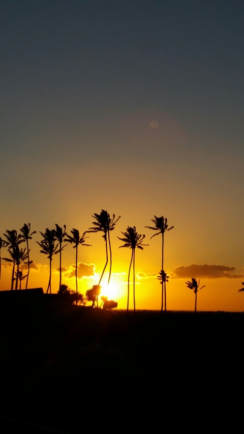 Hawaiian Sunset