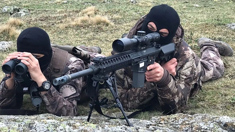 ταπετσαρίες firearm, gun