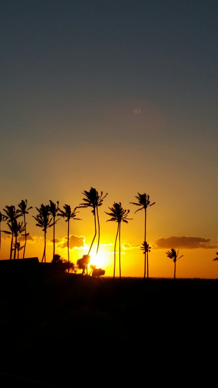Hawaiian Sunset