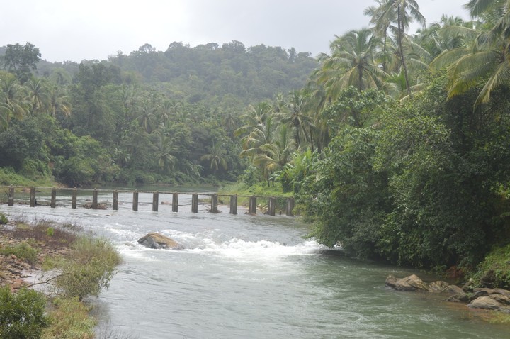 bridge
