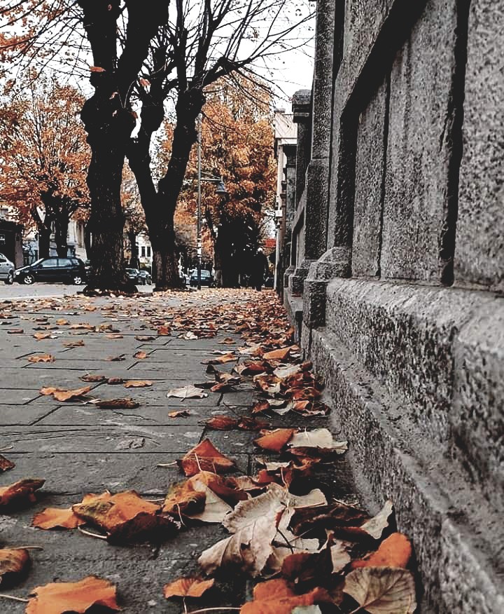 Korça