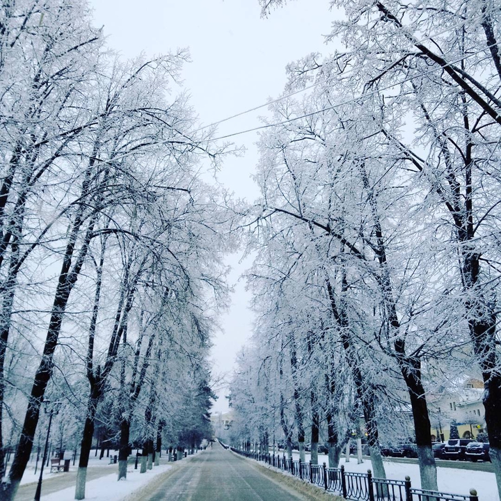Winter