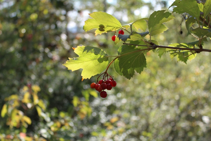 Es wird langsam Herbst