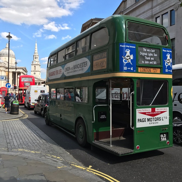 busses