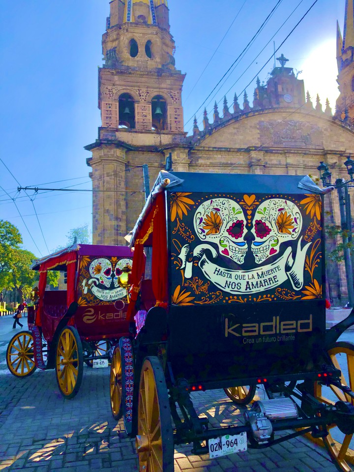 Calandrias en Guadalajara
