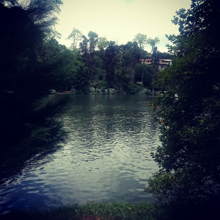 Lago Negro