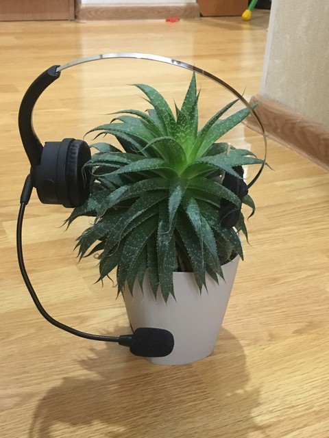 тапети headphones, peripheral