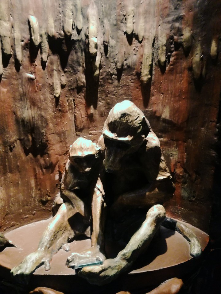 Monkeys