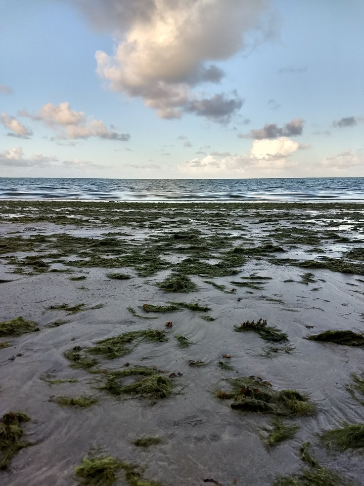 Ponta verde Maceió