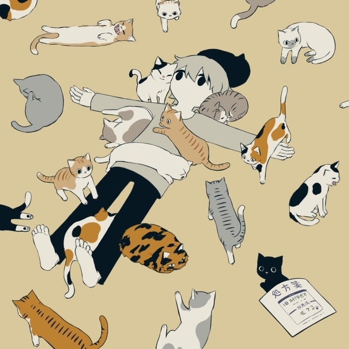 котики