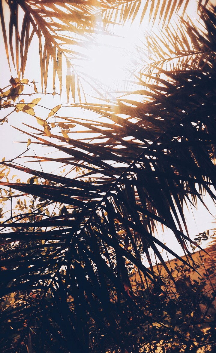 Summer 